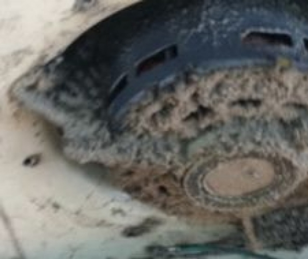 Professional Preventive Maintenance Before And After Photo's 