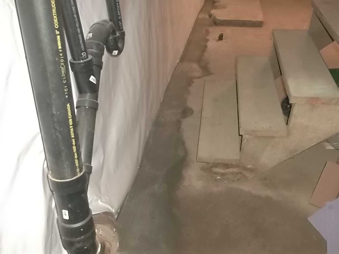 Basement Waterproofing 