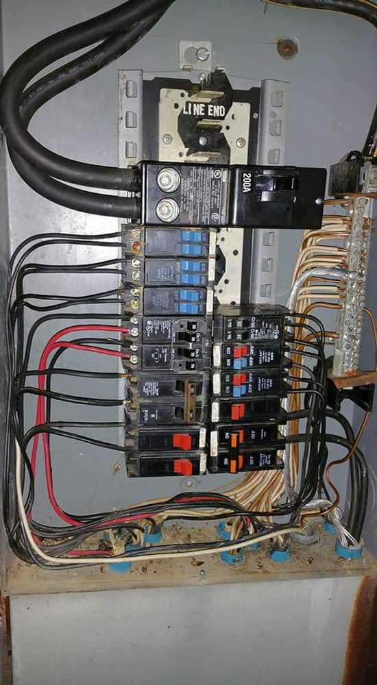 Photos from Wallace, Brian K.