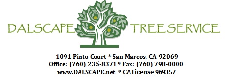 Dalscape Tree Service