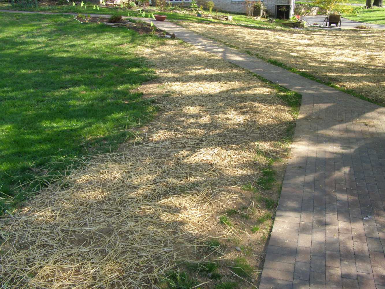 LAWN INSTALLATION SEED PREP JOB SITE