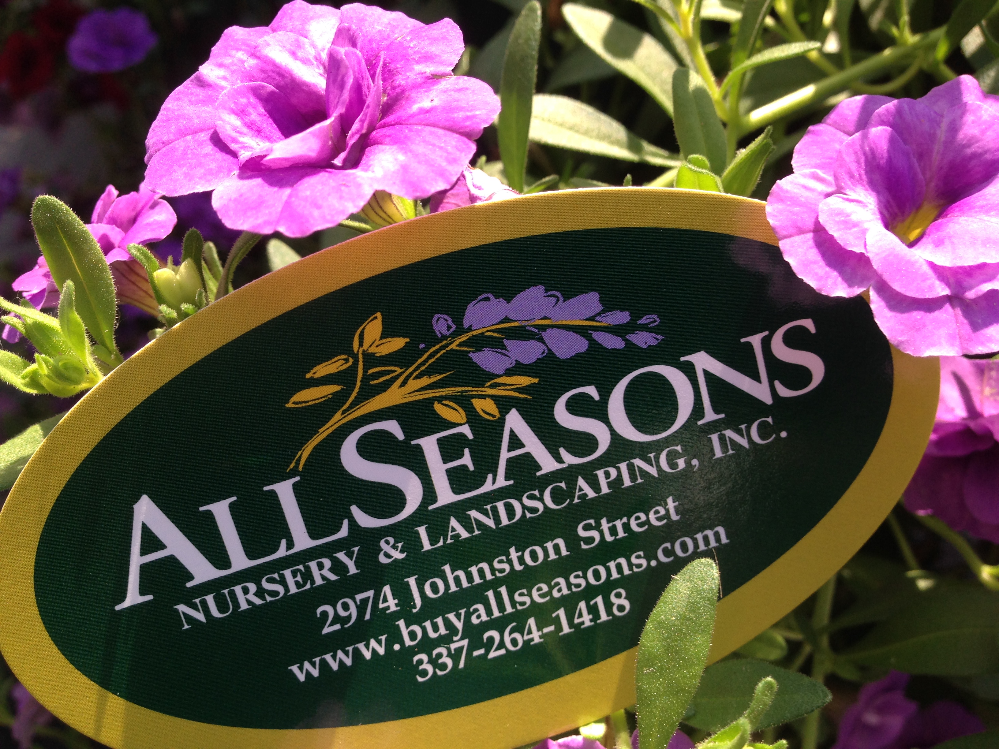 All Seasons Nursery & Landscaping, Inc.