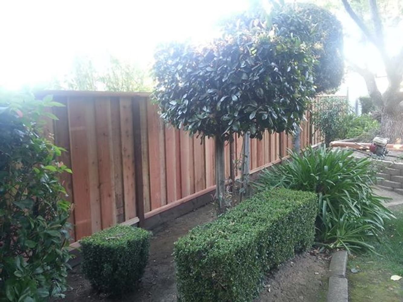 Los Gatos Fence Company Project