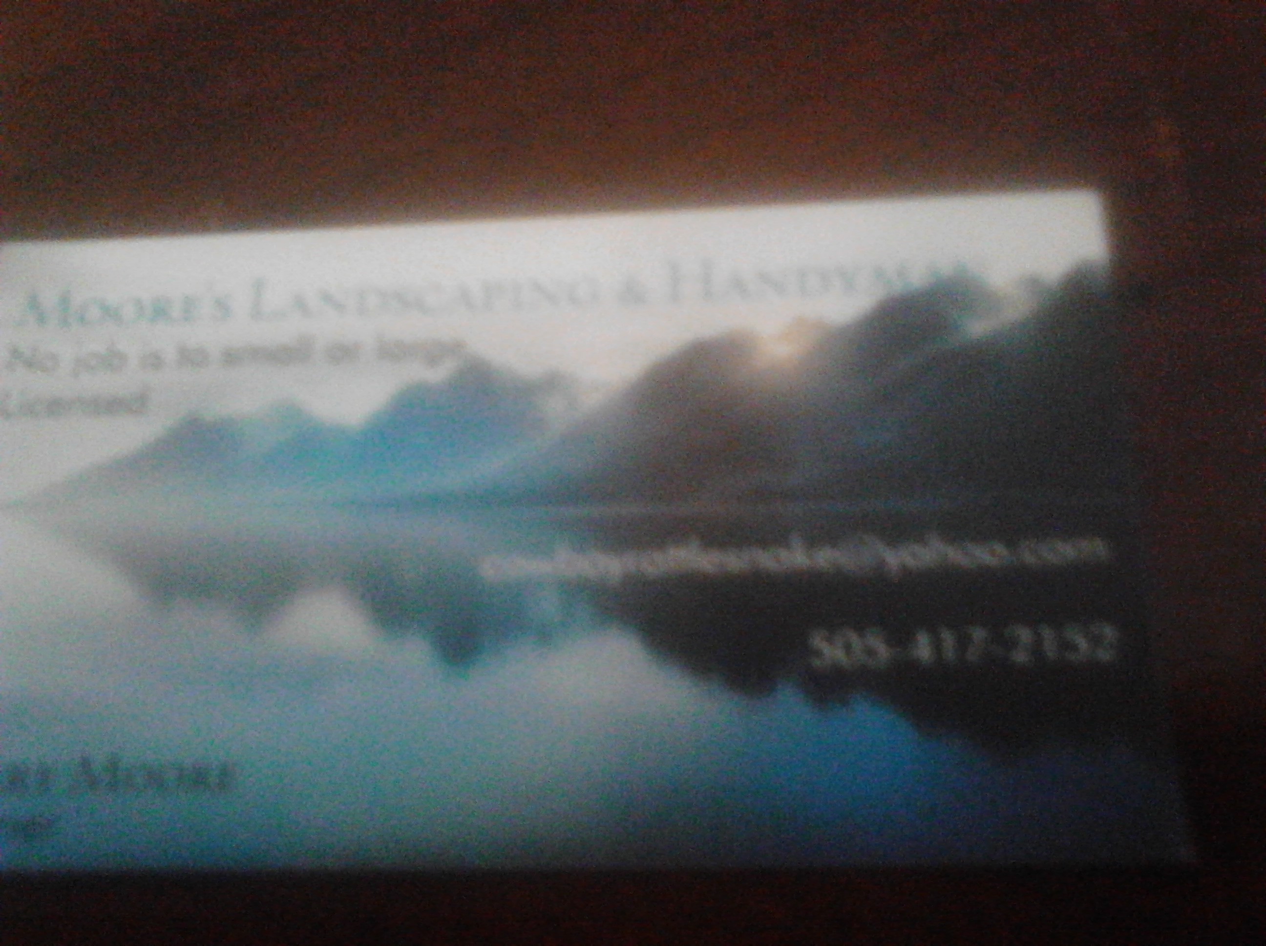 Moores landscaping and handyman services LLC