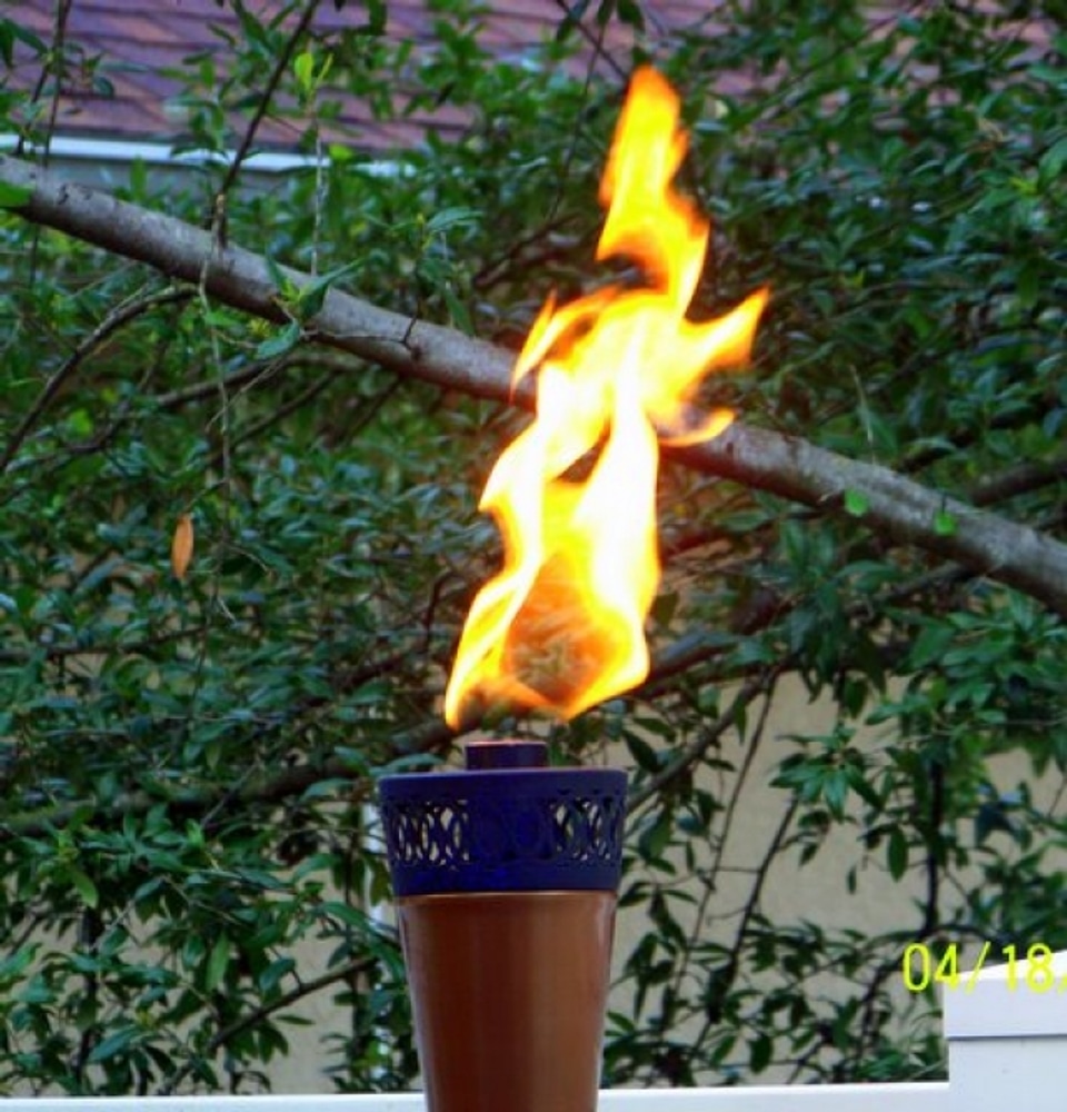 Propane/Natural Gas Services 813-562-4008