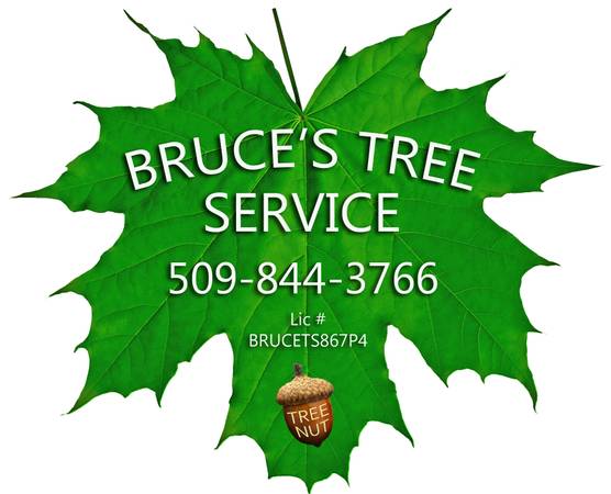 Bruces Tree Service