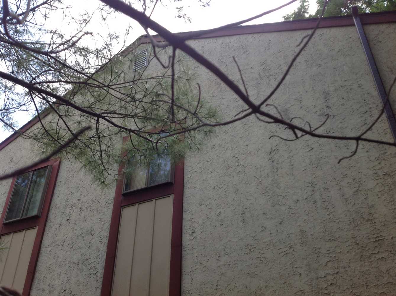 Exterior Stucco Power wash and repaint Photos