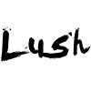Lush Remodeling & Development Inc