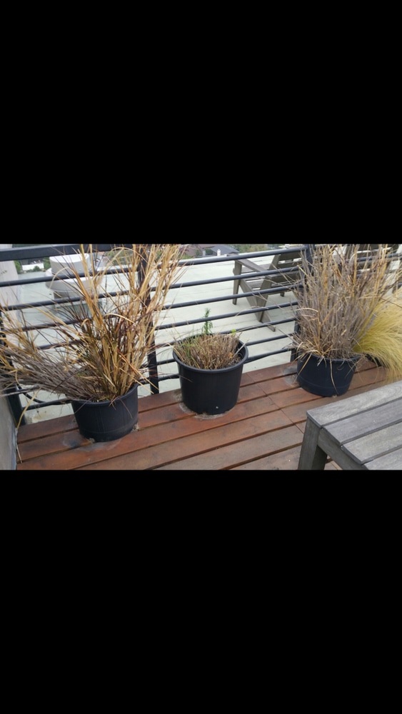 Rooftop Hollywod Hills