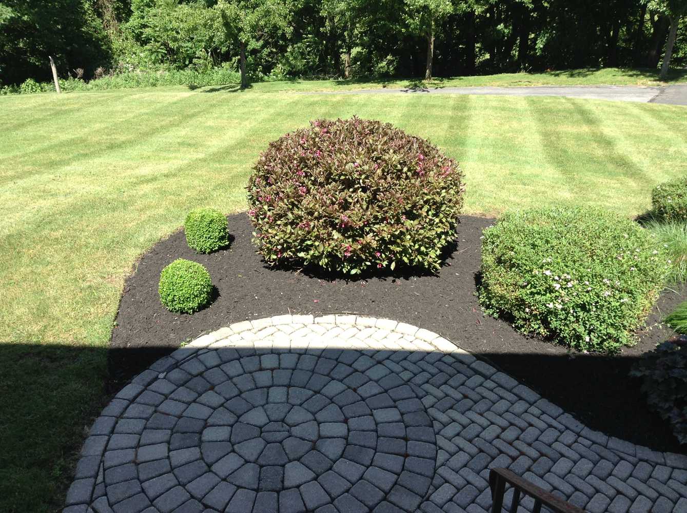 Project photos from Curcios Lawn And Landscape