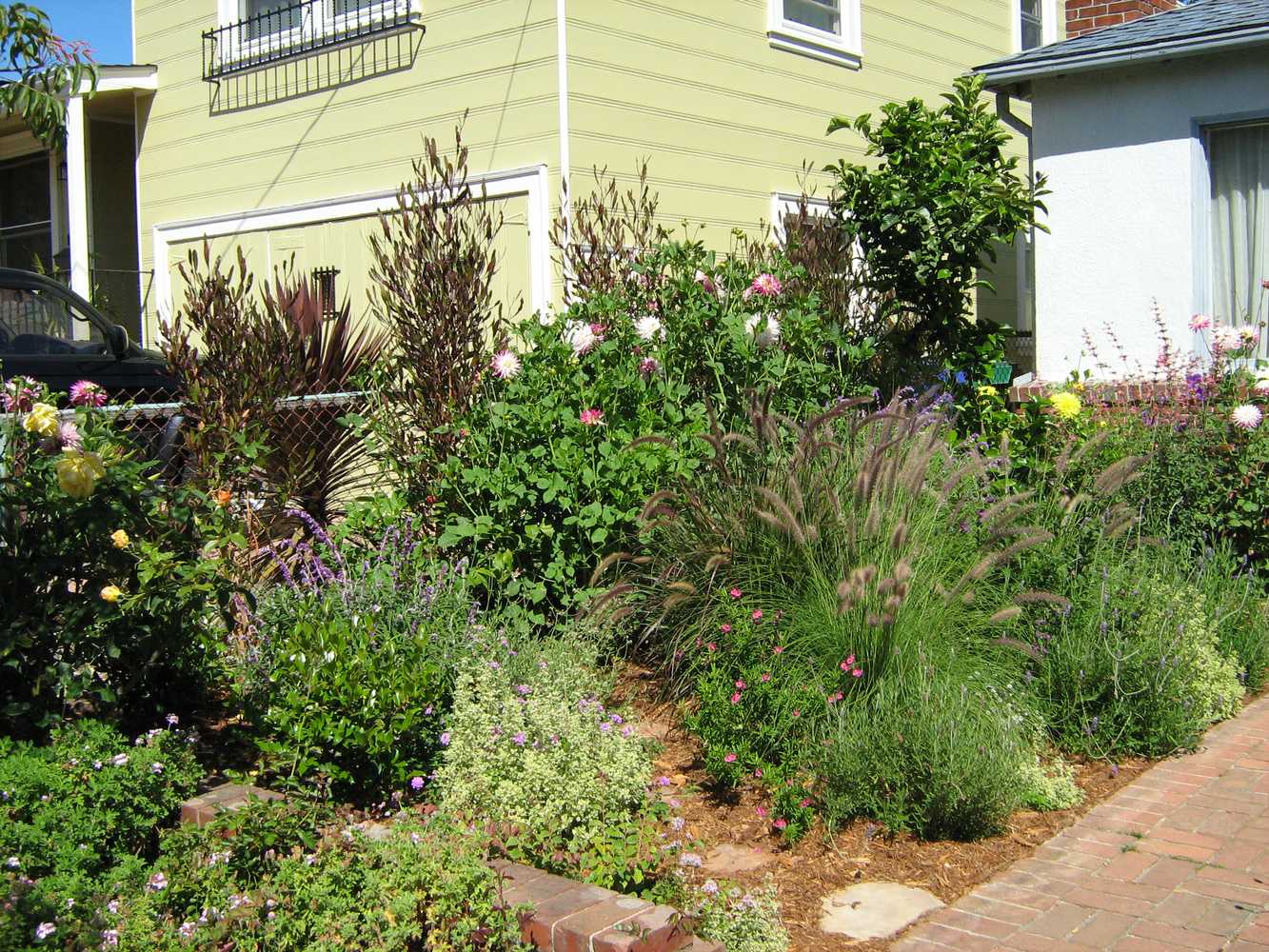 Frank Jaffe Landscape Services Project