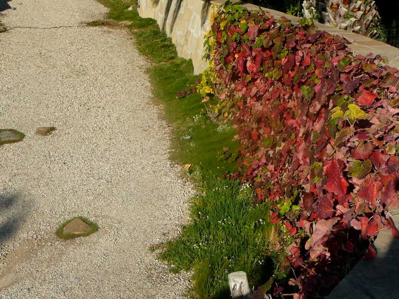 Landscape Designs