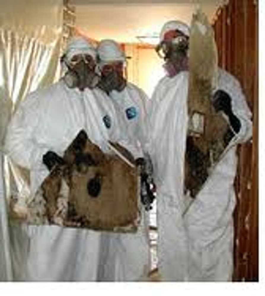 Photo(s) from Restorers.com