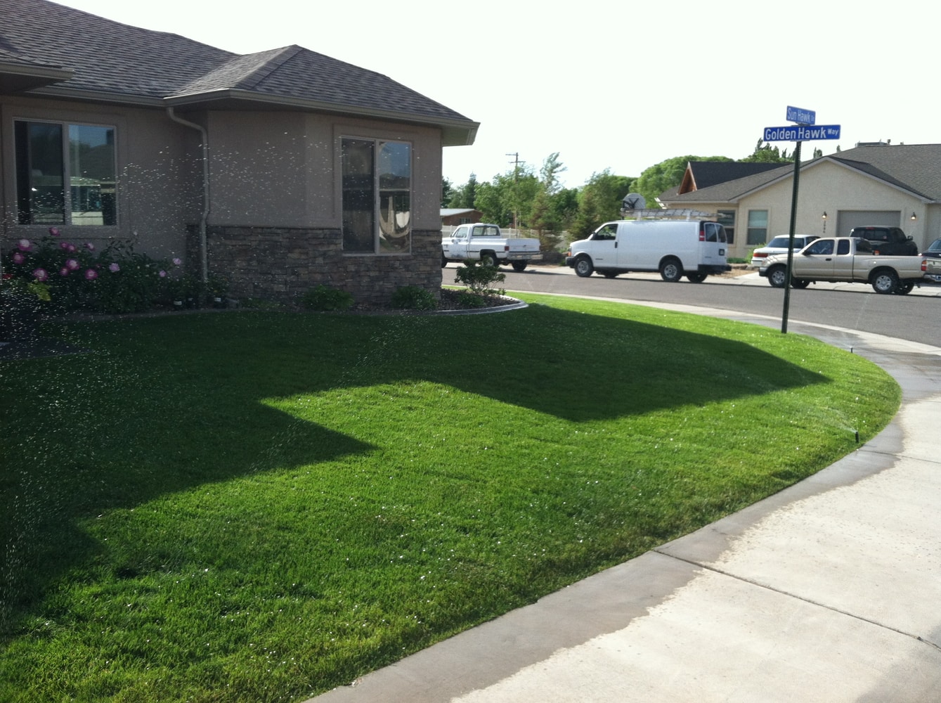 Lawn Care & Maintenance