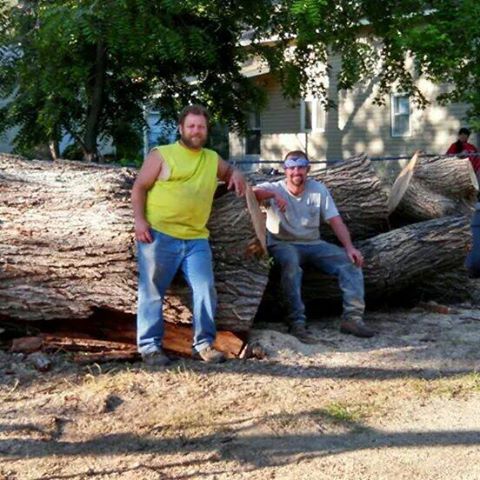A Cut Above Tree and Landscape