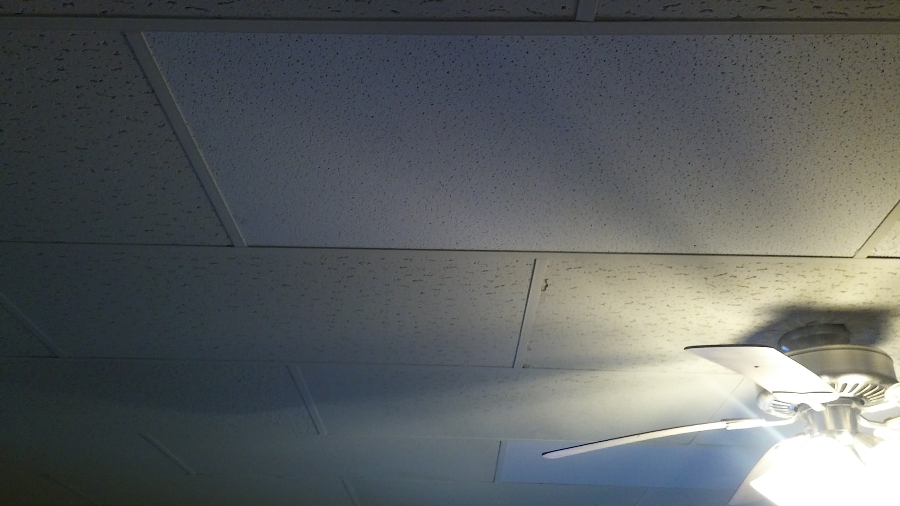 Photos from Mikes Hardcore Contracting