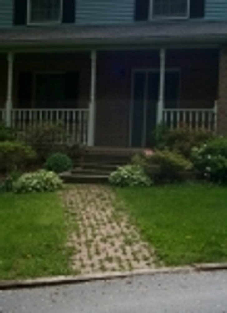 Landscape Project Photos 