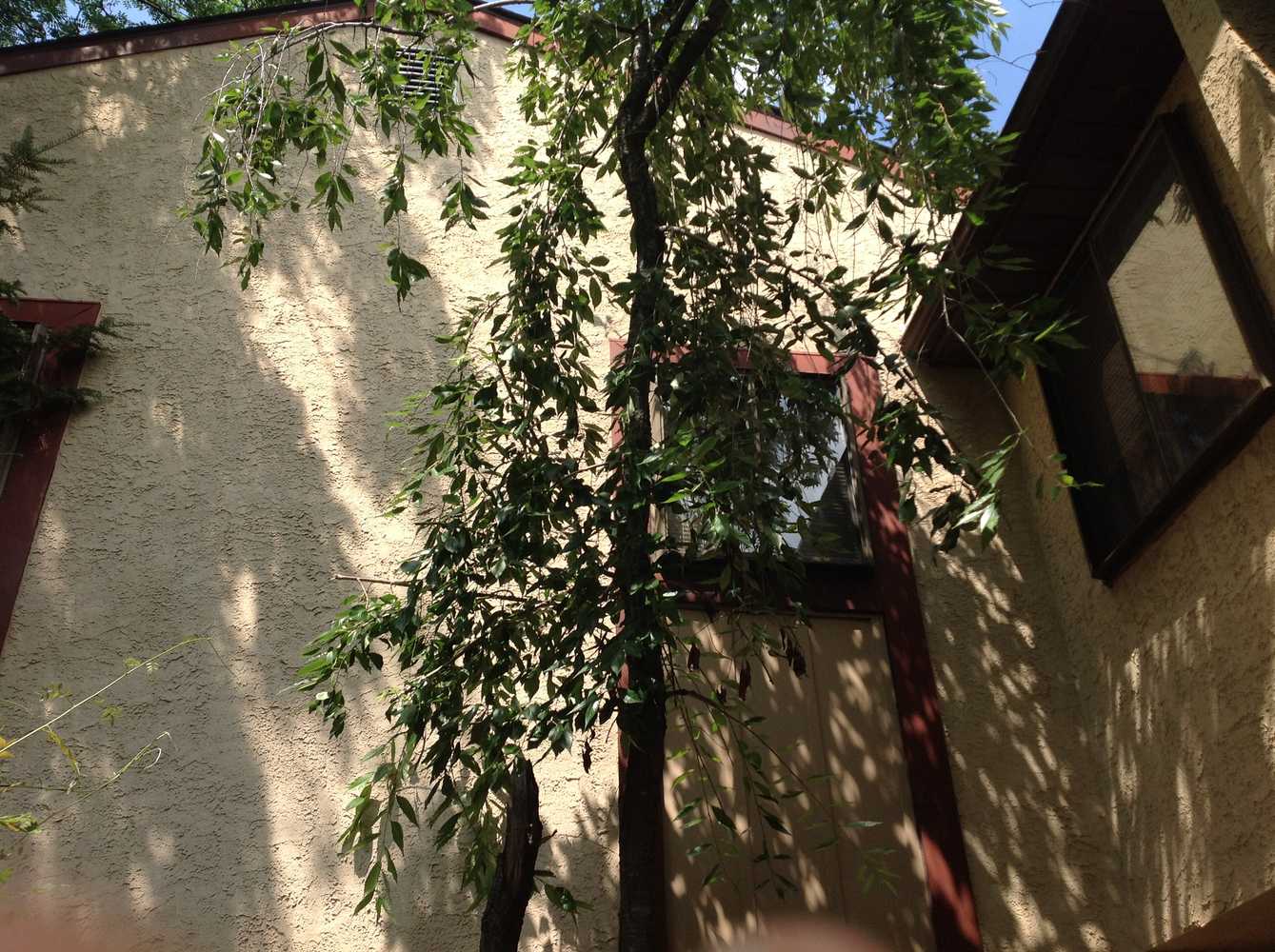 Exterior Stucco Power wash and repaint Photos