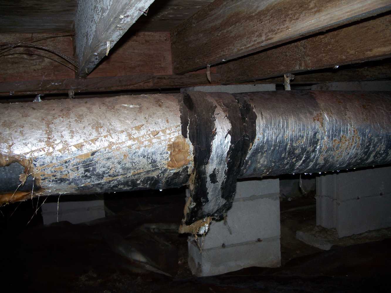 Crawlspace moisture damage- Don't let this happen to you. We can help.