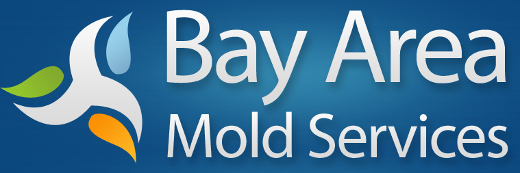 Bay Area Mold Services