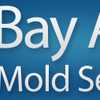 Bay Area Mold Services