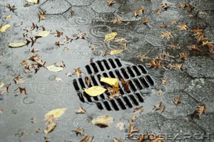 Landscape Drainage Solutions