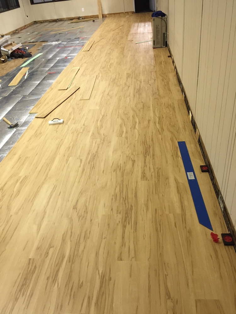 Hals Carpet & Vinyl Project