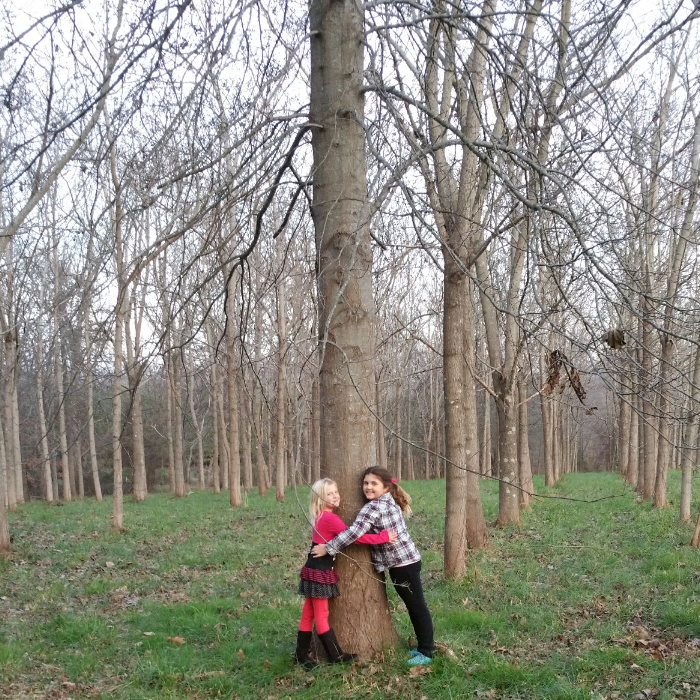 Pls Custom Homes And Renovations