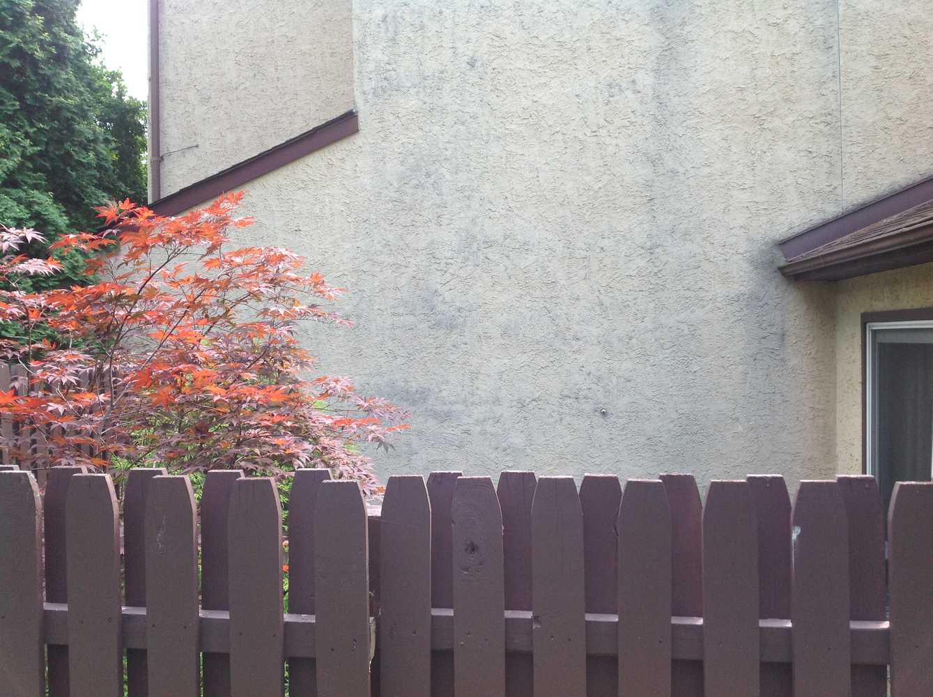 Exterior Stucco Power wash and repaint Photos