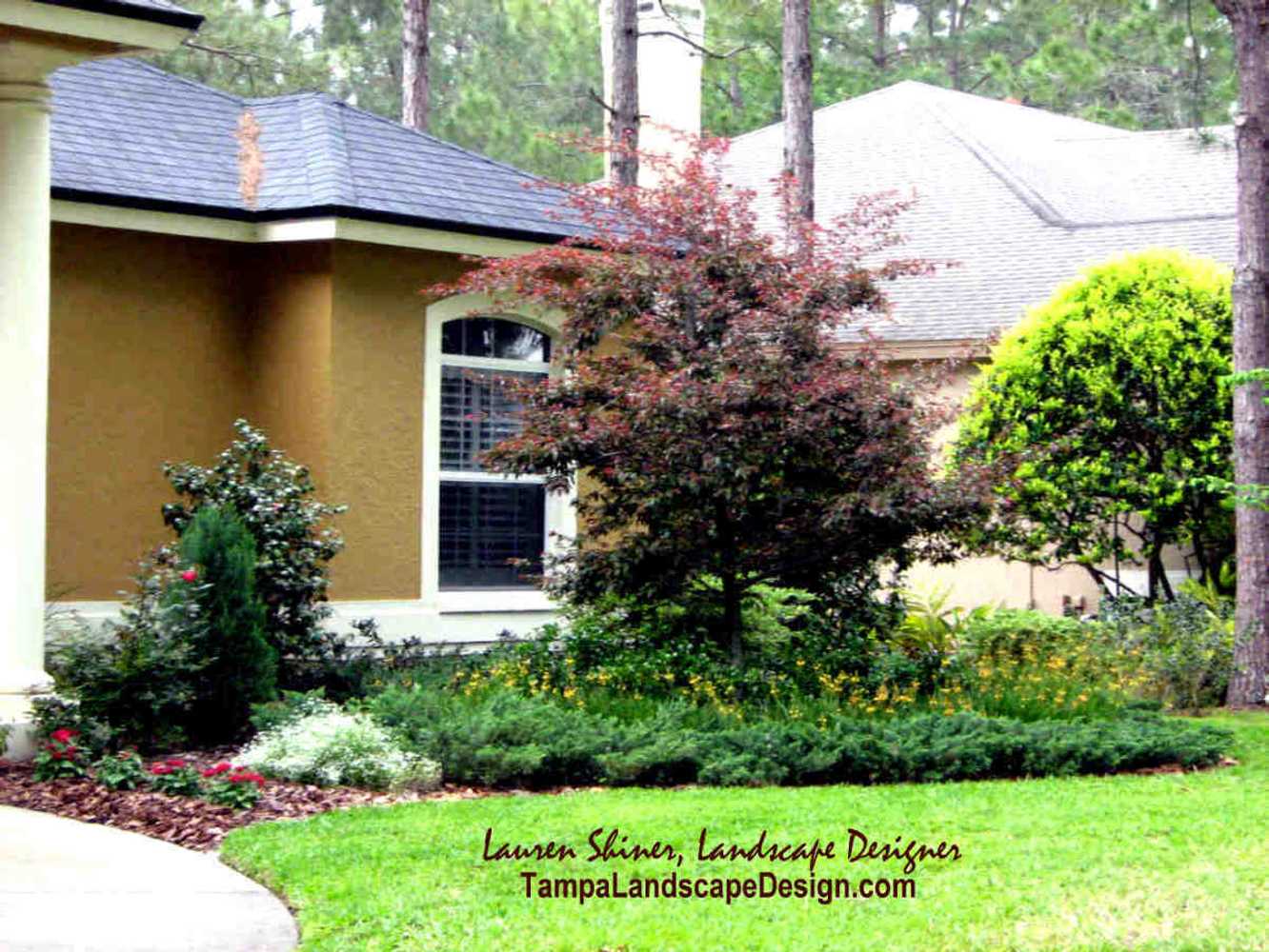 Project photos from Tampa Landscape Design