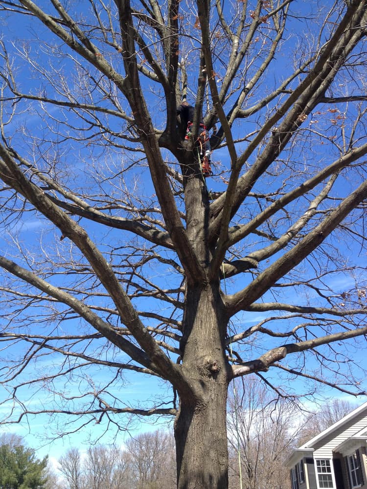 Photo(s) from Reeves Contracting