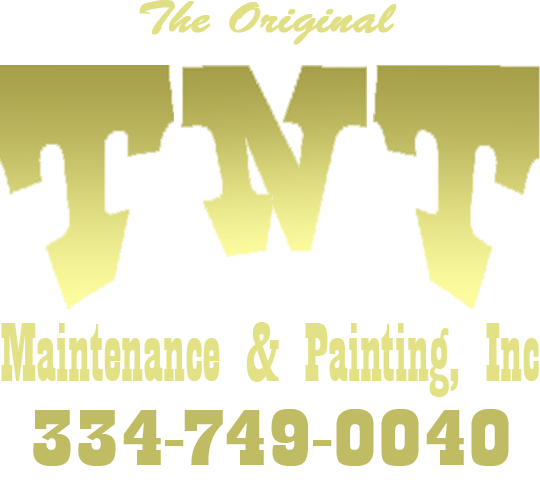 Tnt Maintenance & Painting.