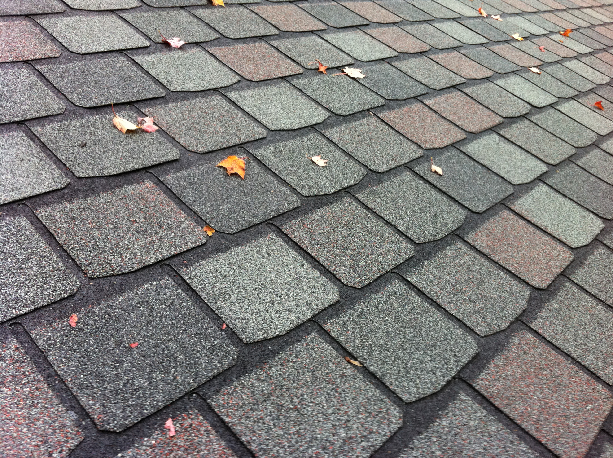 Patrick Kennedy Exteriors