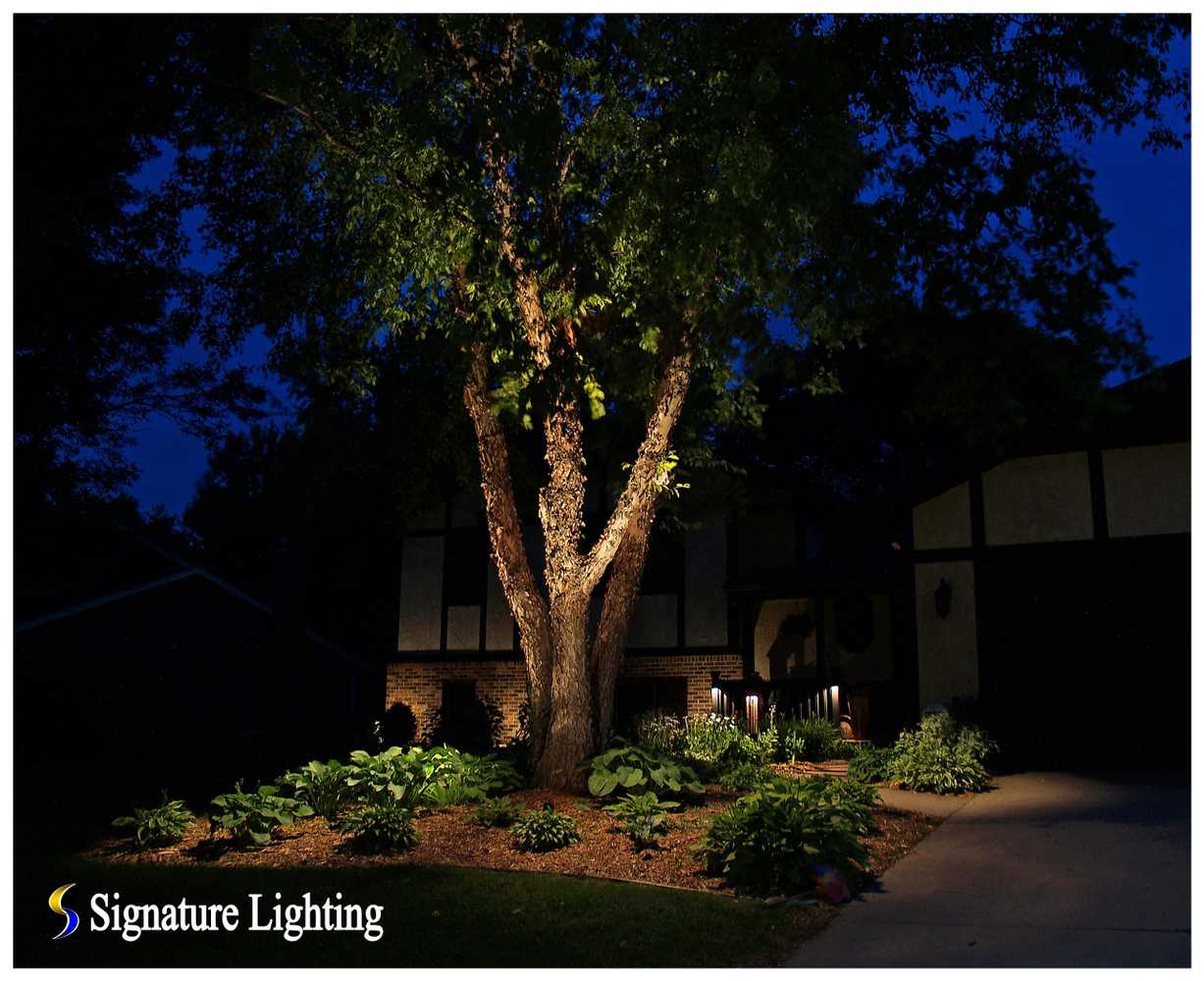 Landscape Lighting