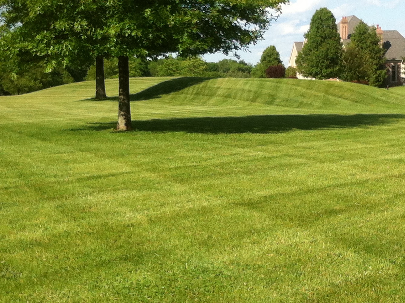 Photos from Superior Land Care Inc