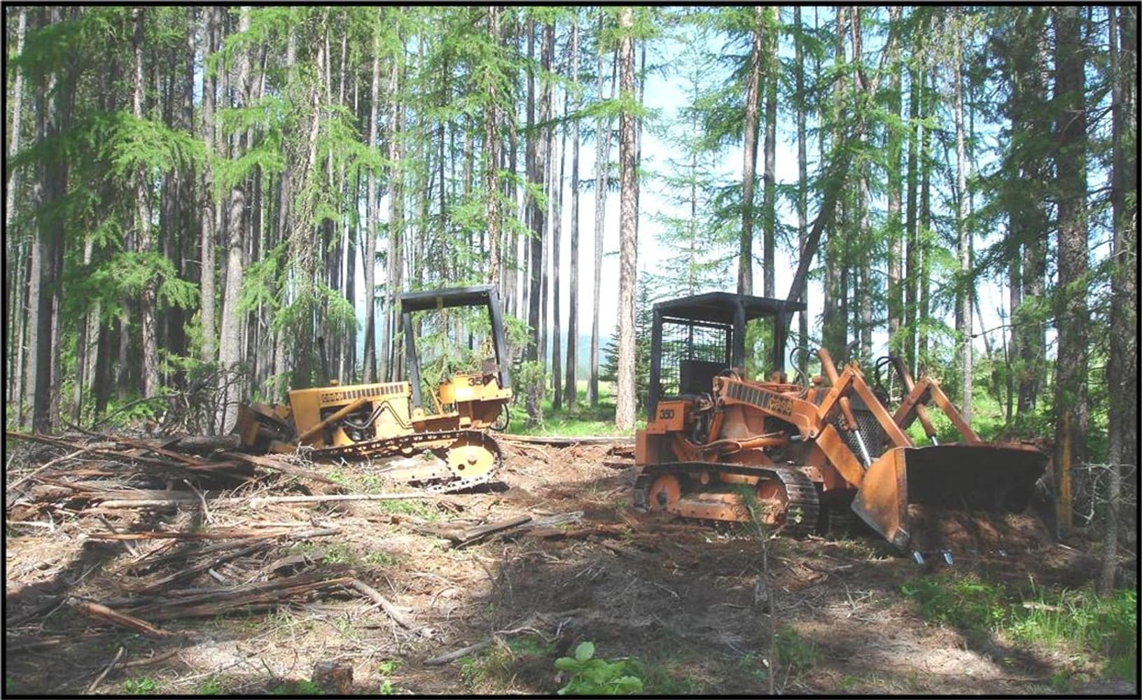 Wilderness Building Systems Project