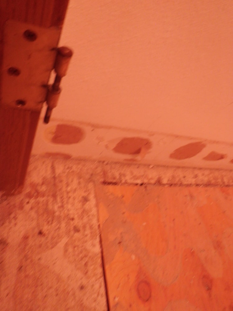 Photo(s) from Dervisart