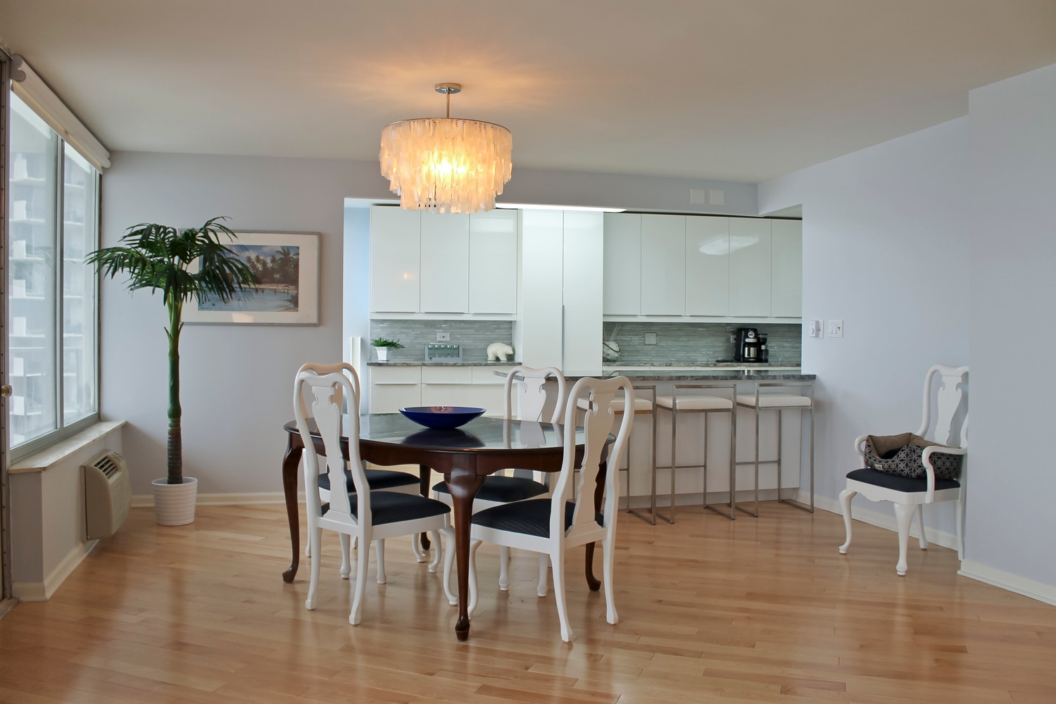 Condo Kitchen Remodel (Edgewater)