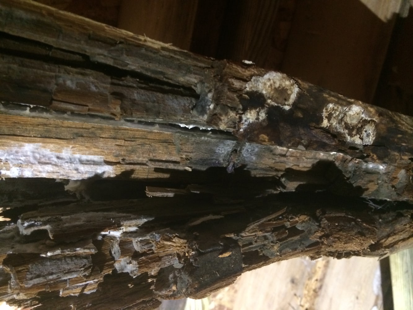 Photos from Kaneone Construction Llc