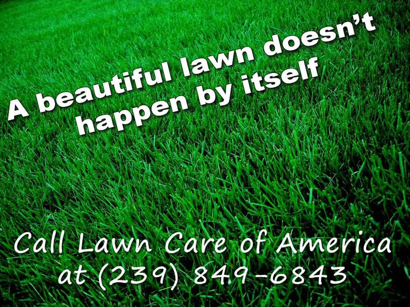 Lawn Care Of America Project 1