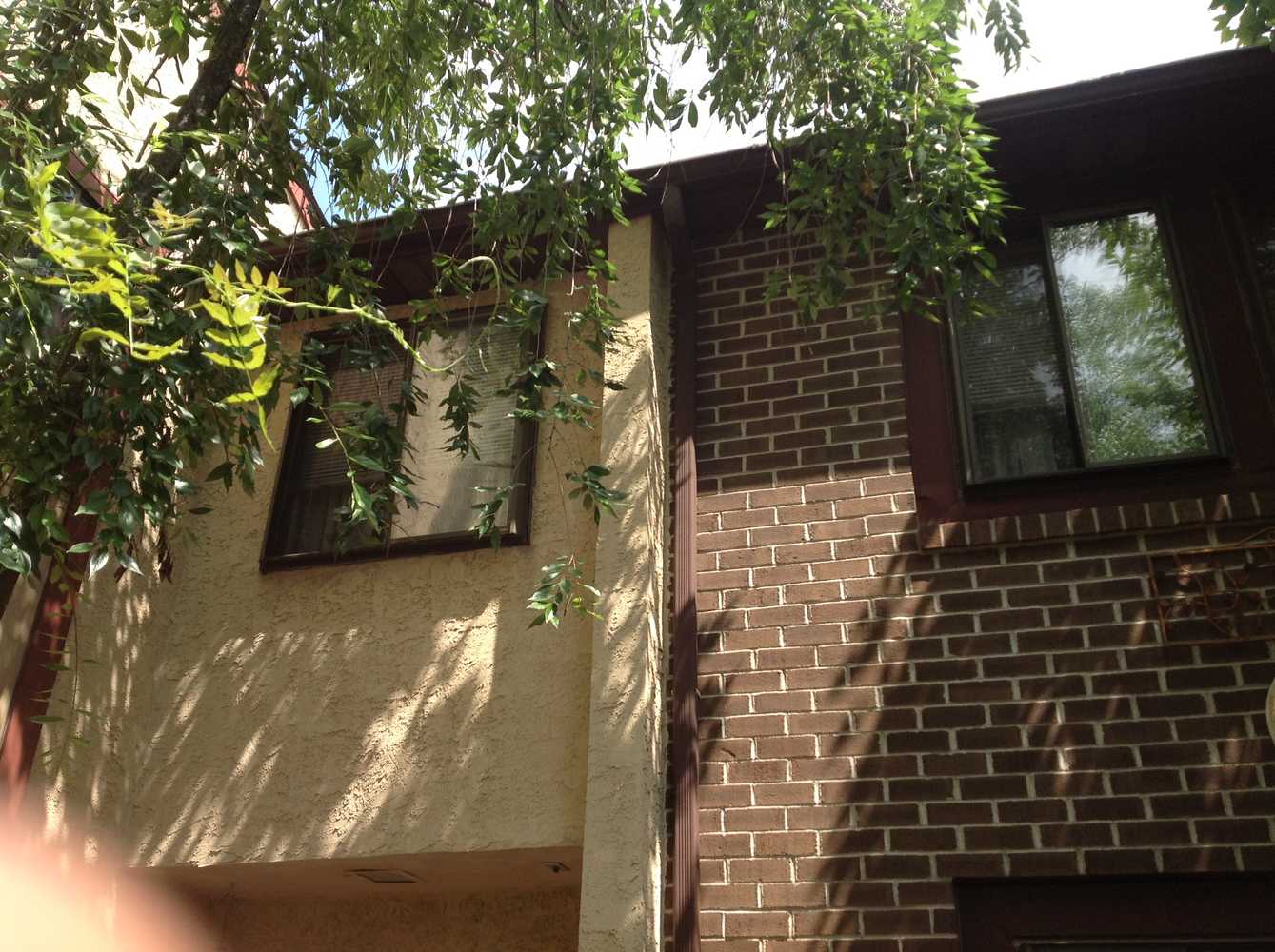 Exterior Stucco Power wash and repaint Photos