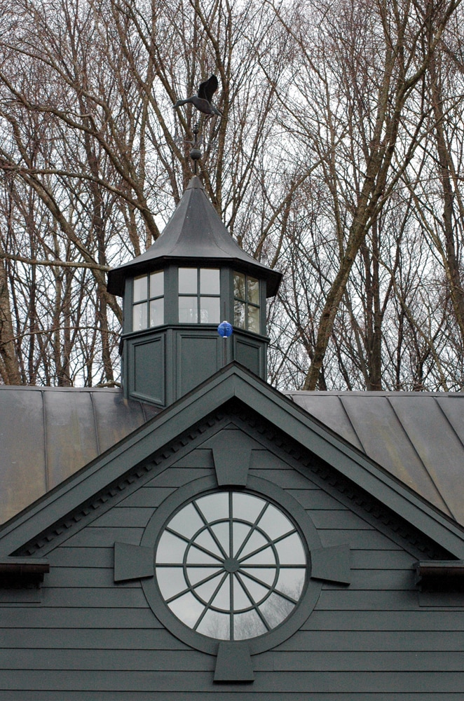 Steven D Macleay Project