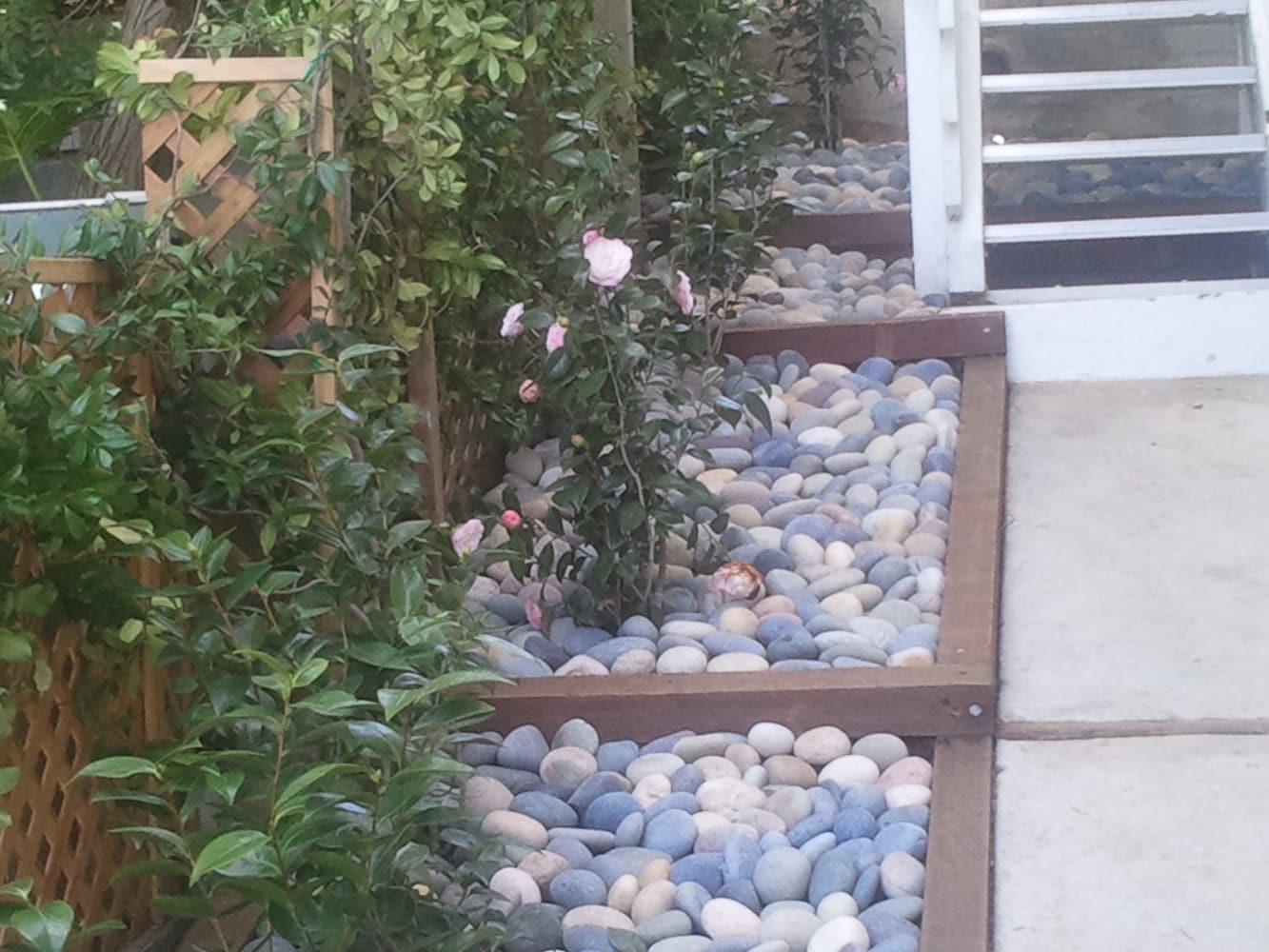 Playa Landscaping Inc Project