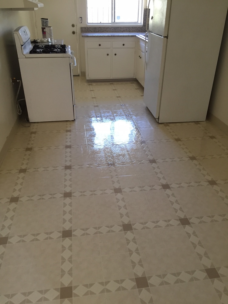 Hals Carpet & Vinyl Project