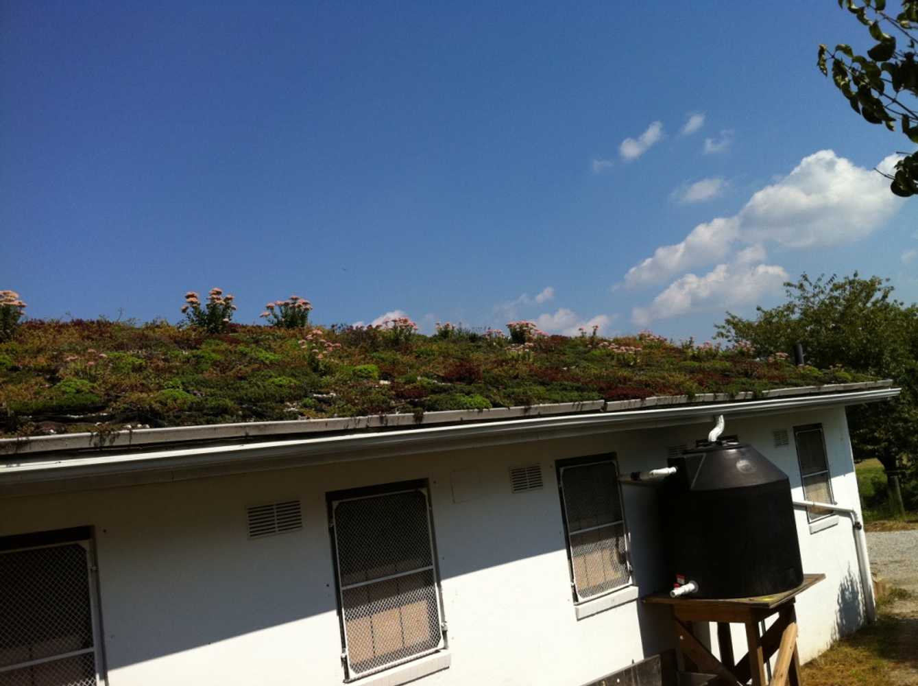 Vegetated Roofs