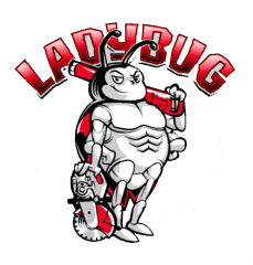 Ladybug Concrete Specialties Inc.