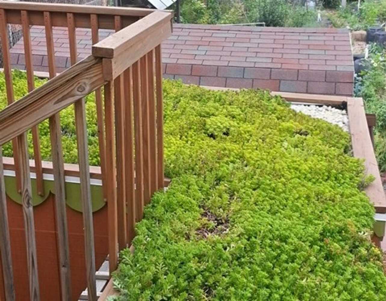 Vegetated Roofs