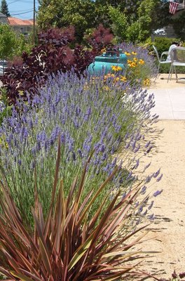 Bountiful Botanicals, Inc.