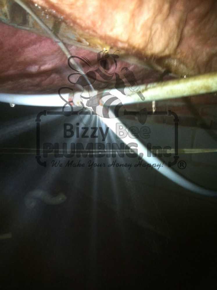 Photos from Bizzy Bee Plumbing, Inc