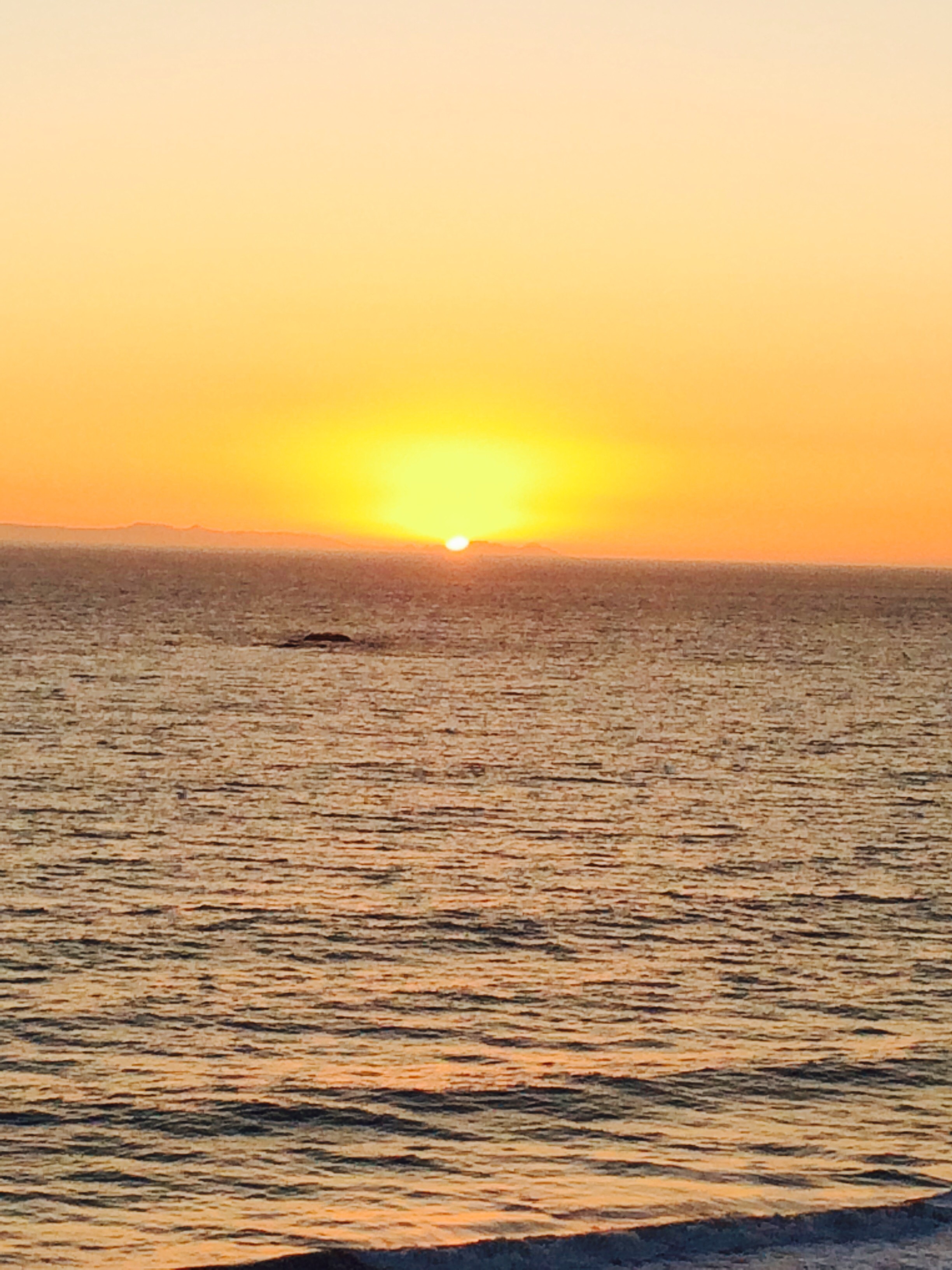 Coastline Contractors